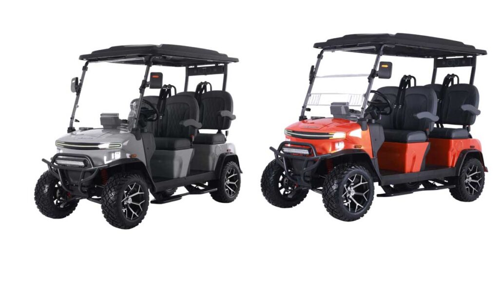 Denago Golf Cart Reviews