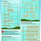 What to Do When Your Travel Insurance Claim is Denied